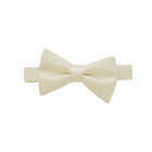 Ivory Bow Tie