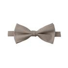Stone Textured Bow Tie