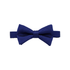Royal Blue Bow Tie
