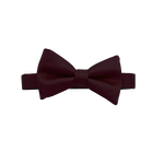 Burgundy Bow Tie image number 1