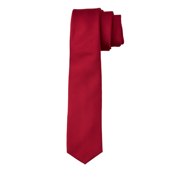 Red Satin Long Tie