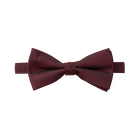 Burgundy Textured Bow Tie