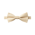 Tan Textured Bow Tie