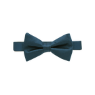 Peacock Bow Tie