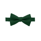 Evergreen Bow Tie