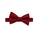 Apple Red SavviSolid Bowtie