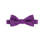 Persian Plum Striped Bow Tie image number 1