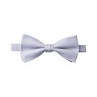 Iris Textured Bow Tie