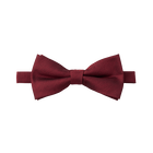 Apple Red Textured Bow Tie
