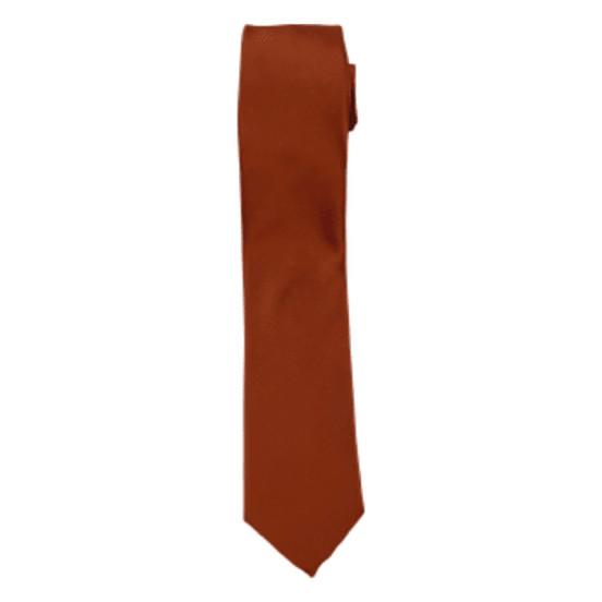 Cinnamon / Rust Long Tie