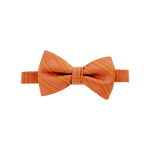 Burnt Orange Striped Bow Tie
