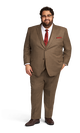 Brown Suit image number 1