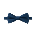 Royal Blue Textured Bow Tie