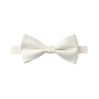 Pearl White Textured Bow Tie
