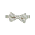 Lime Striped Bow Tie