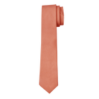 Rust Textured Long Tie