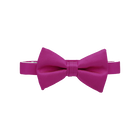 Fuchsia Bow Tie
