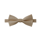 Taupe Textured Bow Tie