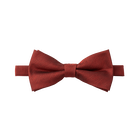Terracotta Textured Bow Tie